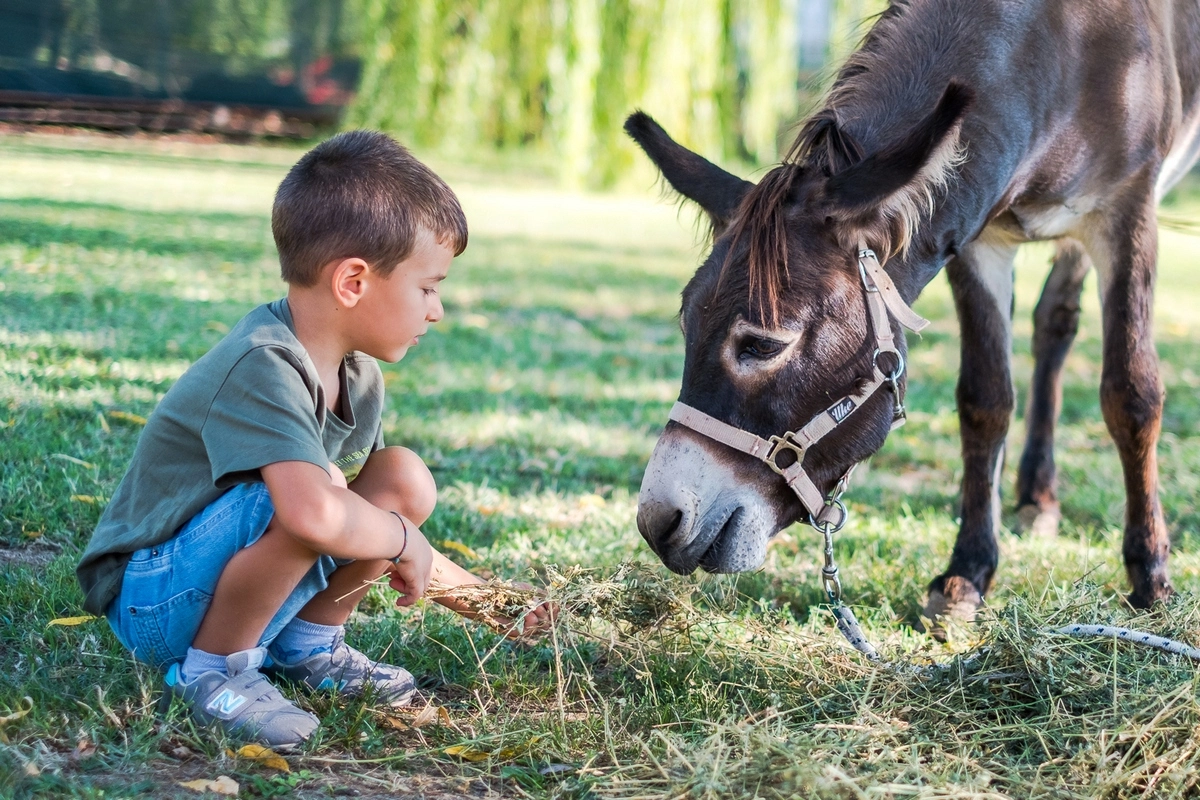 Fattoria didattica nelle campagne di Matera con animali
